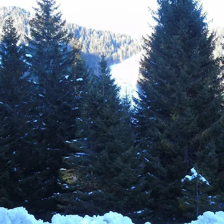 Hs4u Sulle Piste - Dolomiti -